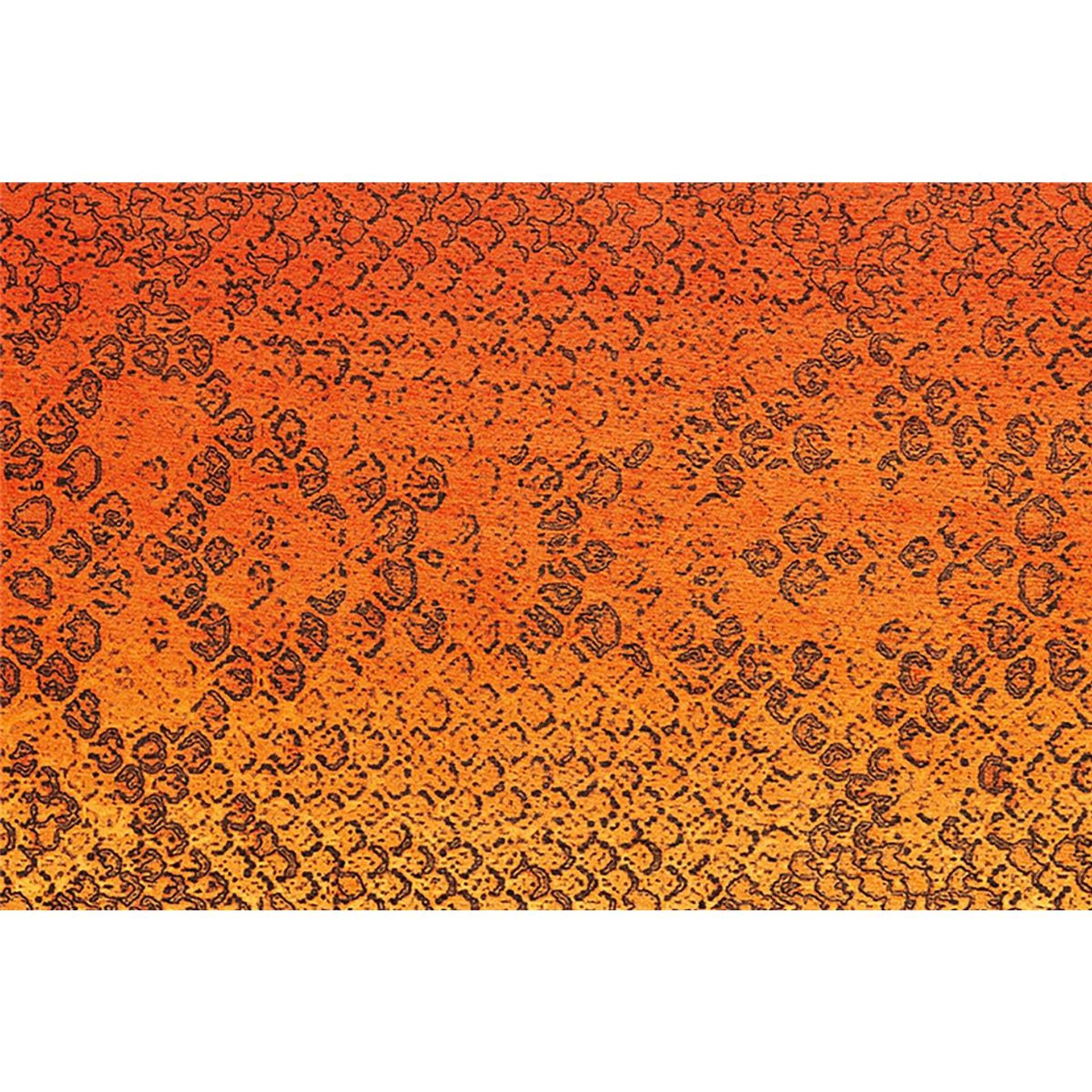 Teppich Flash 2708 Orange 120 cm x 170 cm