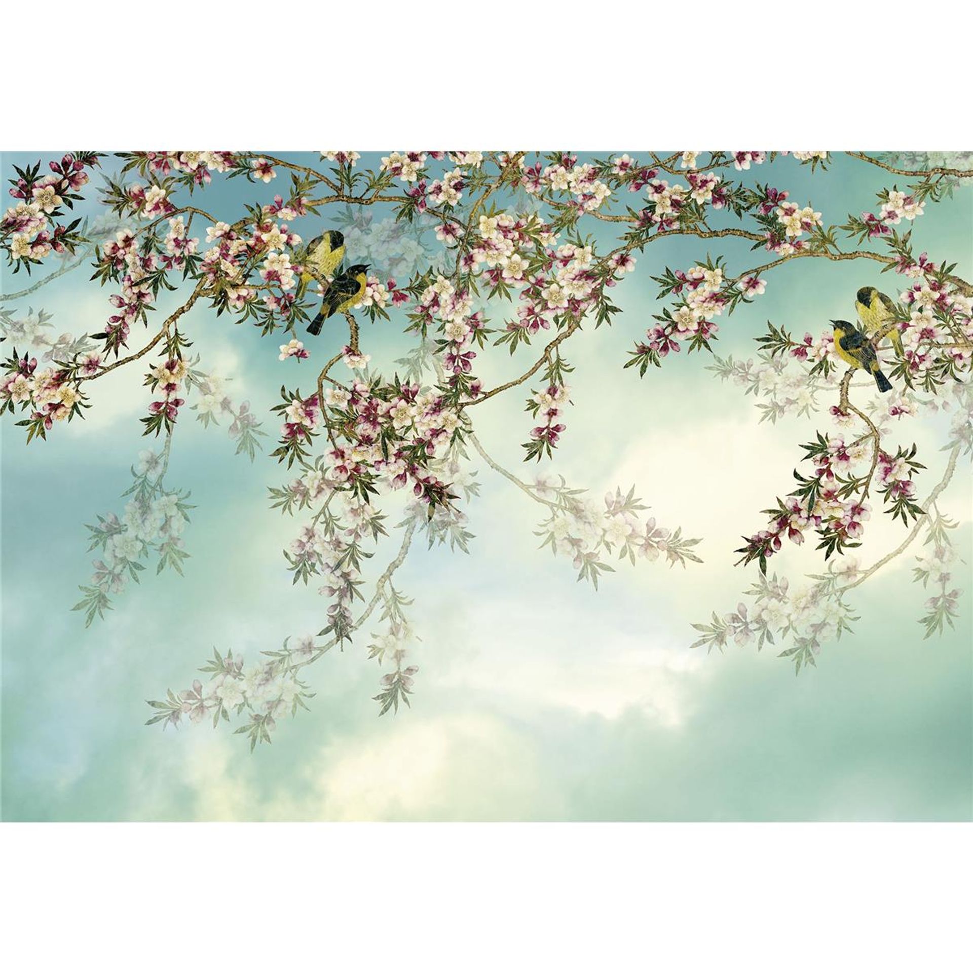 Papier Fototapete - Sakura - Größe 368 x 254 cm