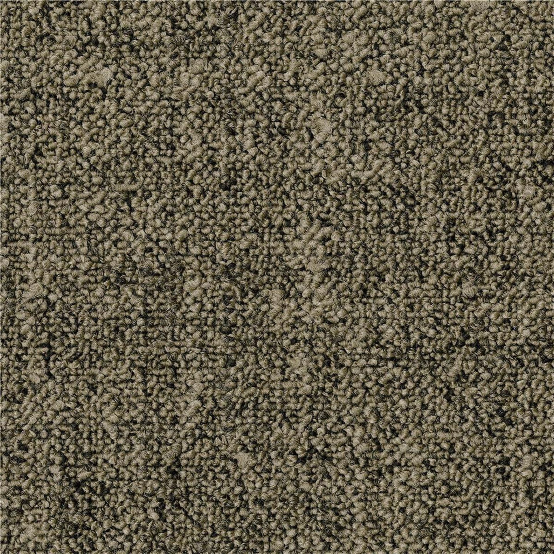 Teppichfliesen 50 x 50 cm Schlinge strukturiert Linon AA83 2023 B8 Grün Textur