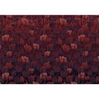 Vlies Fototapete - Tulipe - Größe 400 x 280 cm