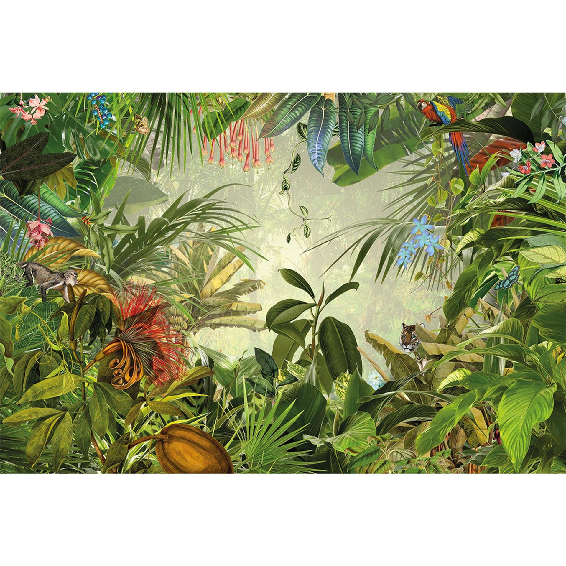 Vlies Fototapete - Into the Wild - Größe 368 x 248 cm