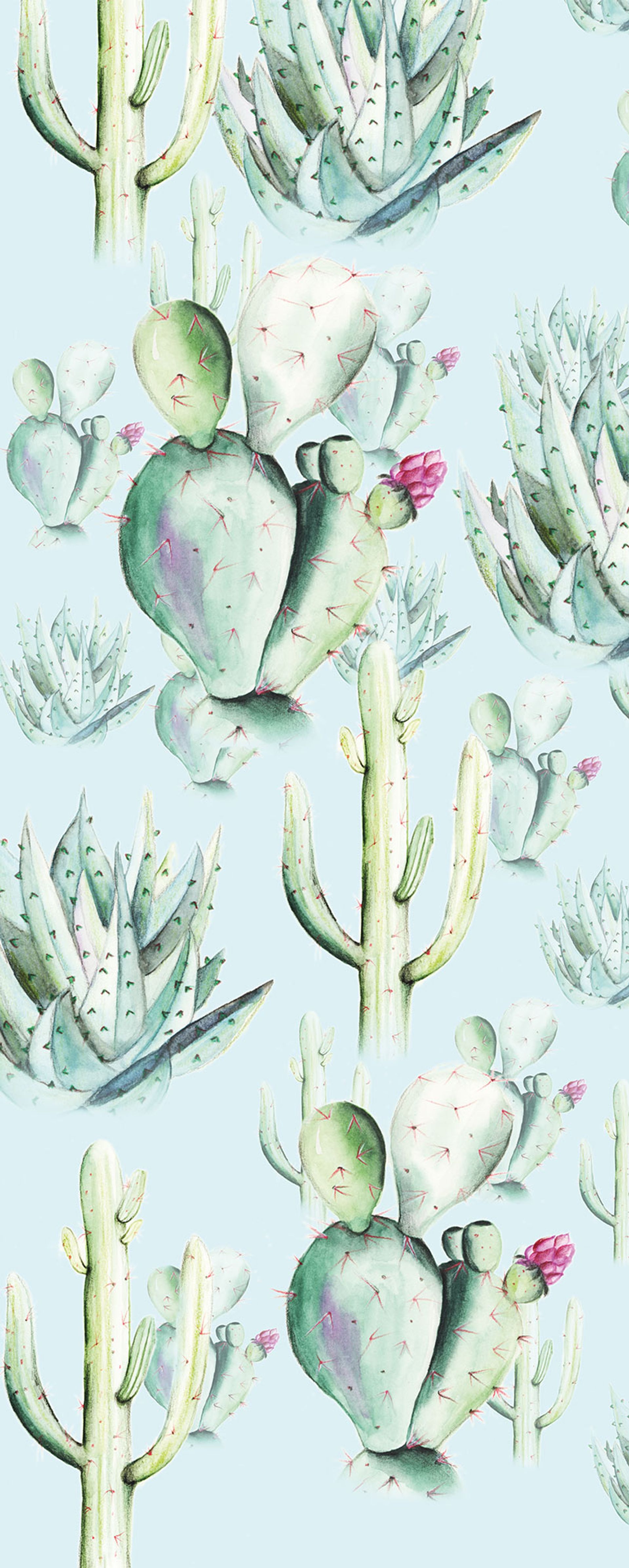 Vlies Fototapete - Cactus Blue Panel - Größe 100 x 250 cm