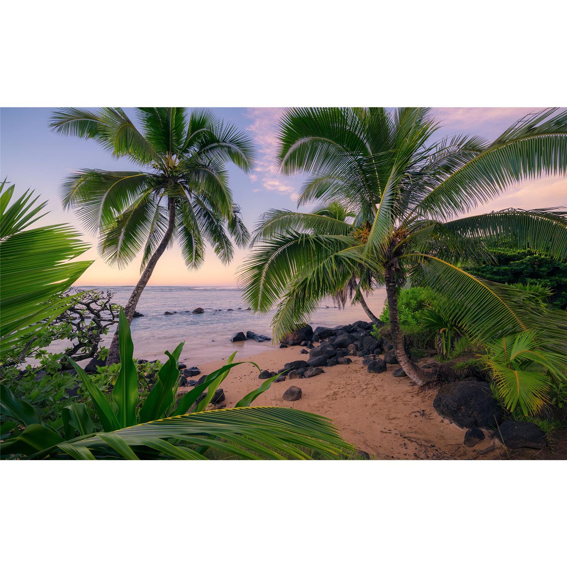 Vlies Fototapete - Hawaiian Dreams  - Größe 450 x 280 cm