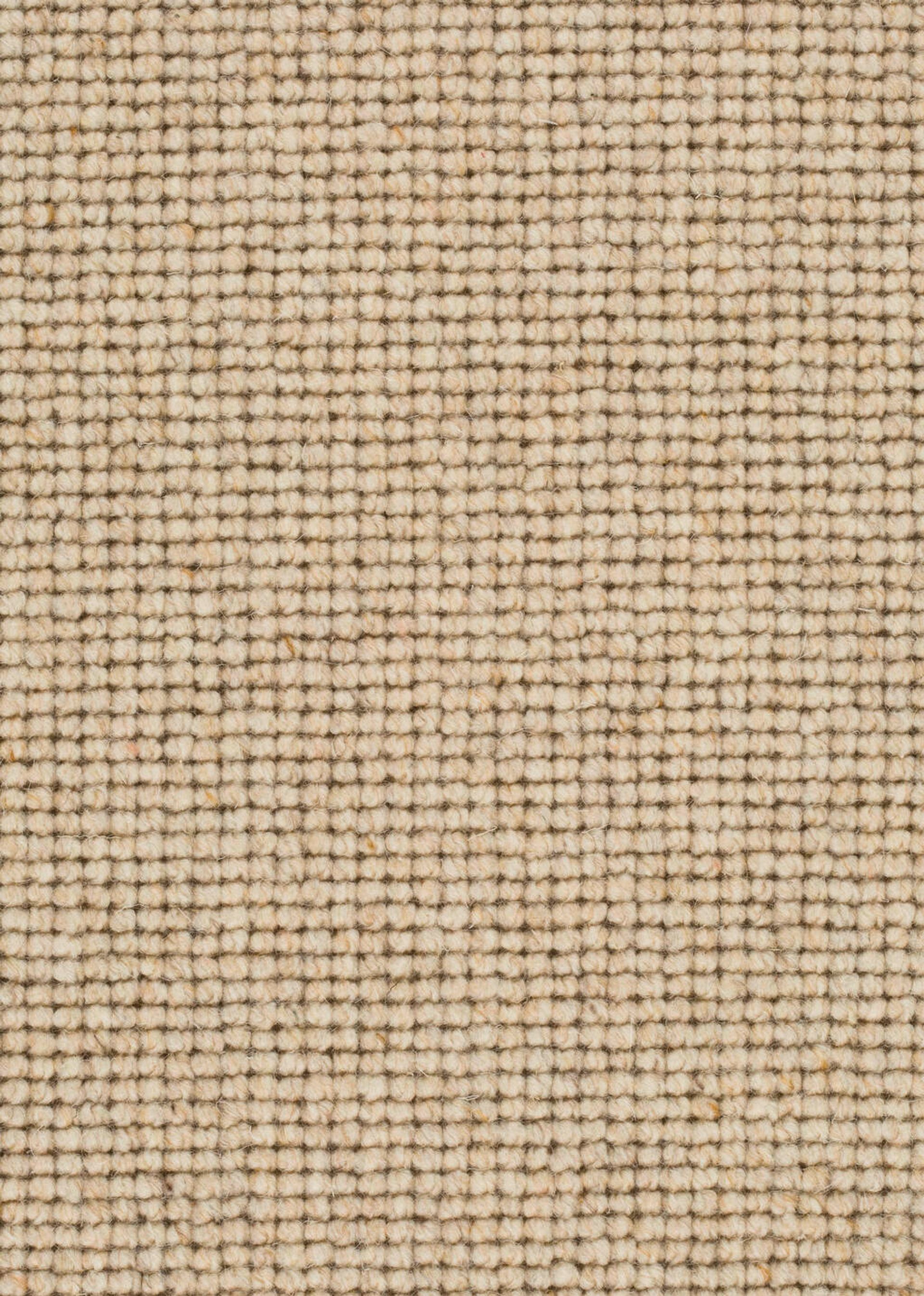 Teppichboden Schurwolle Bali Farbe 122 Rollenbreite: 500 cm