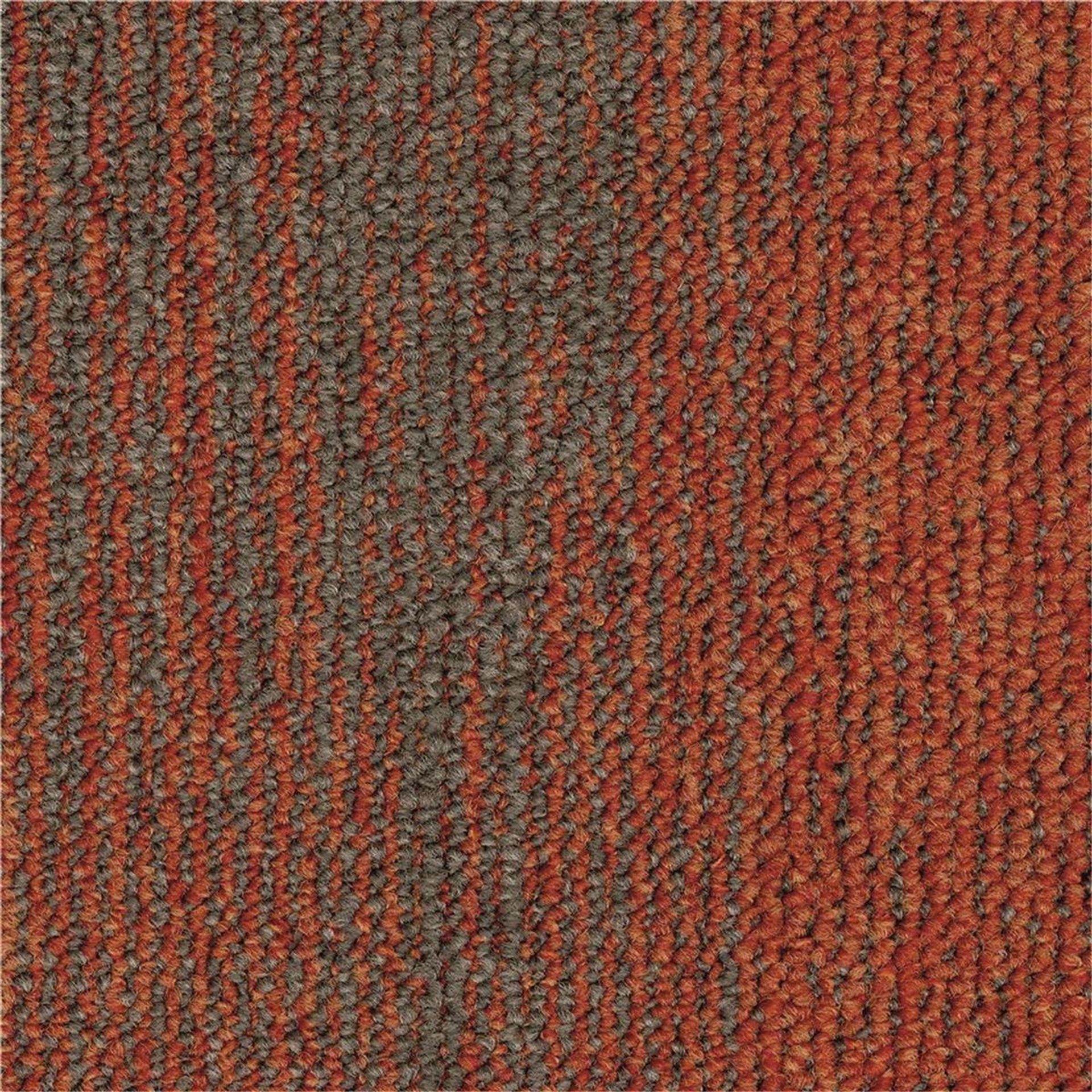 Teppichfliesen 50 x 50 cm Schlinge strukturiert Essence Structure AA92 5012 Orange Organisch