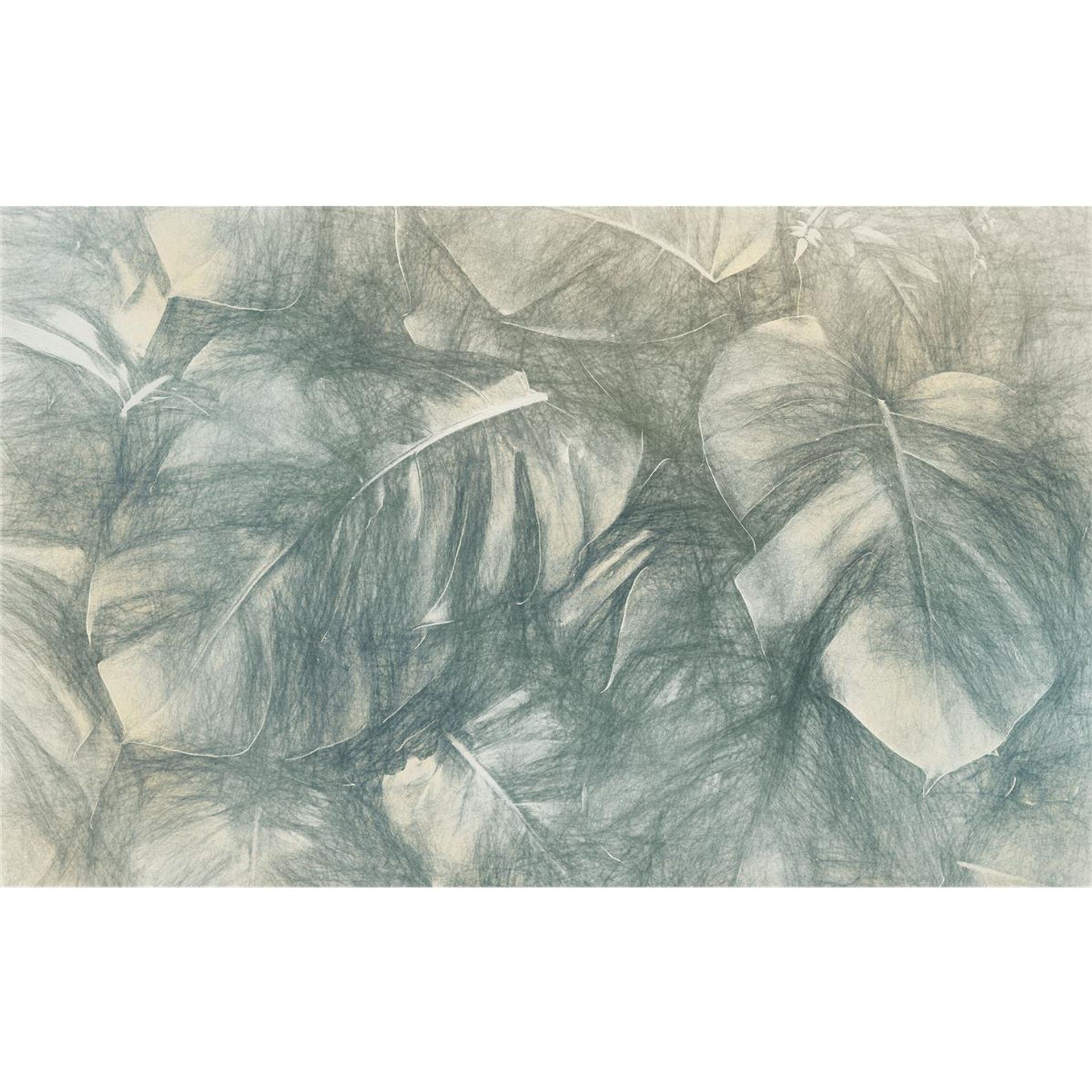 Vlies Fototapete - Beyond Botanic - Größe 400 x 250 cm