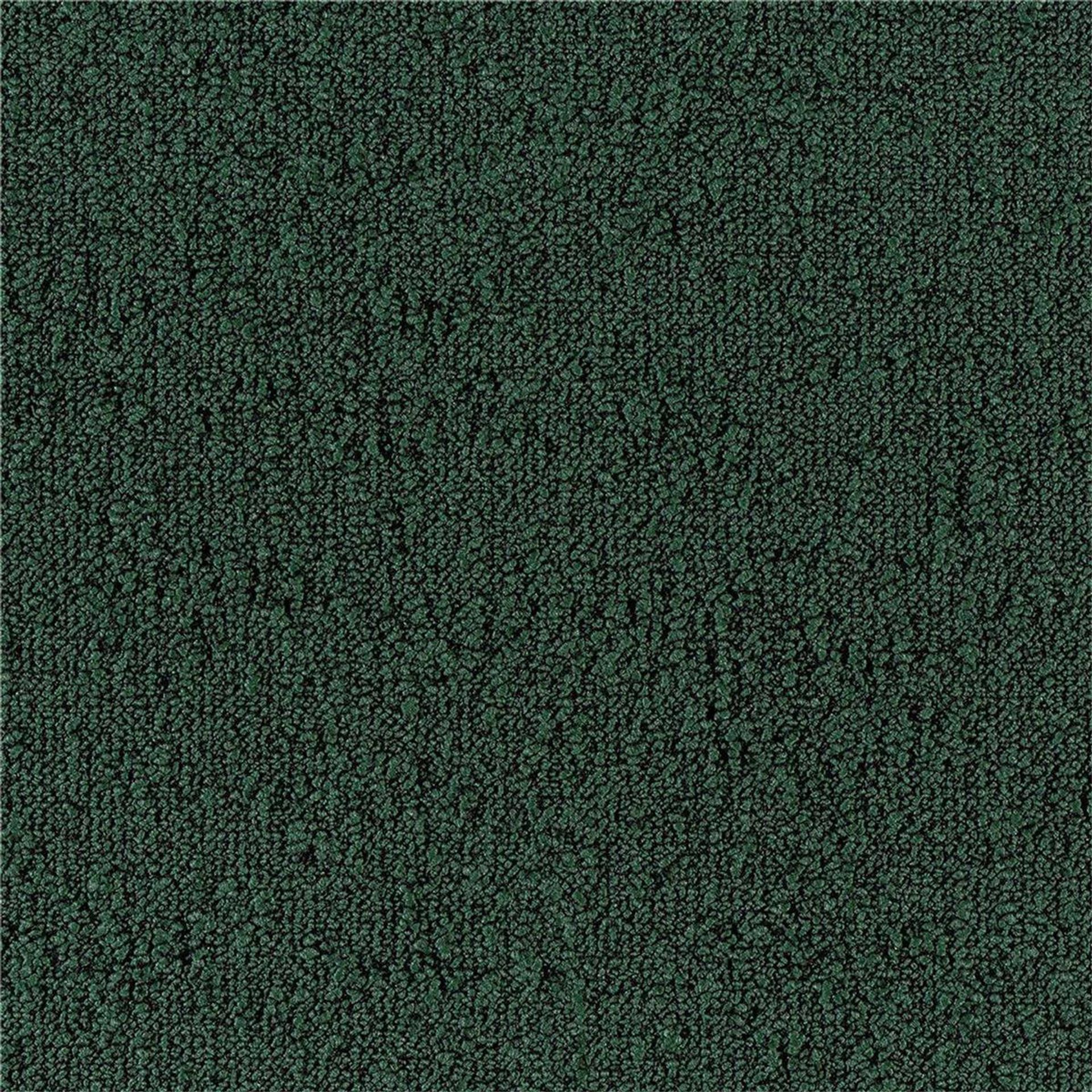 Teppichfliesen 50 x 50 cm Schlinge strukturiert Fields B751 7831 Grün Allover