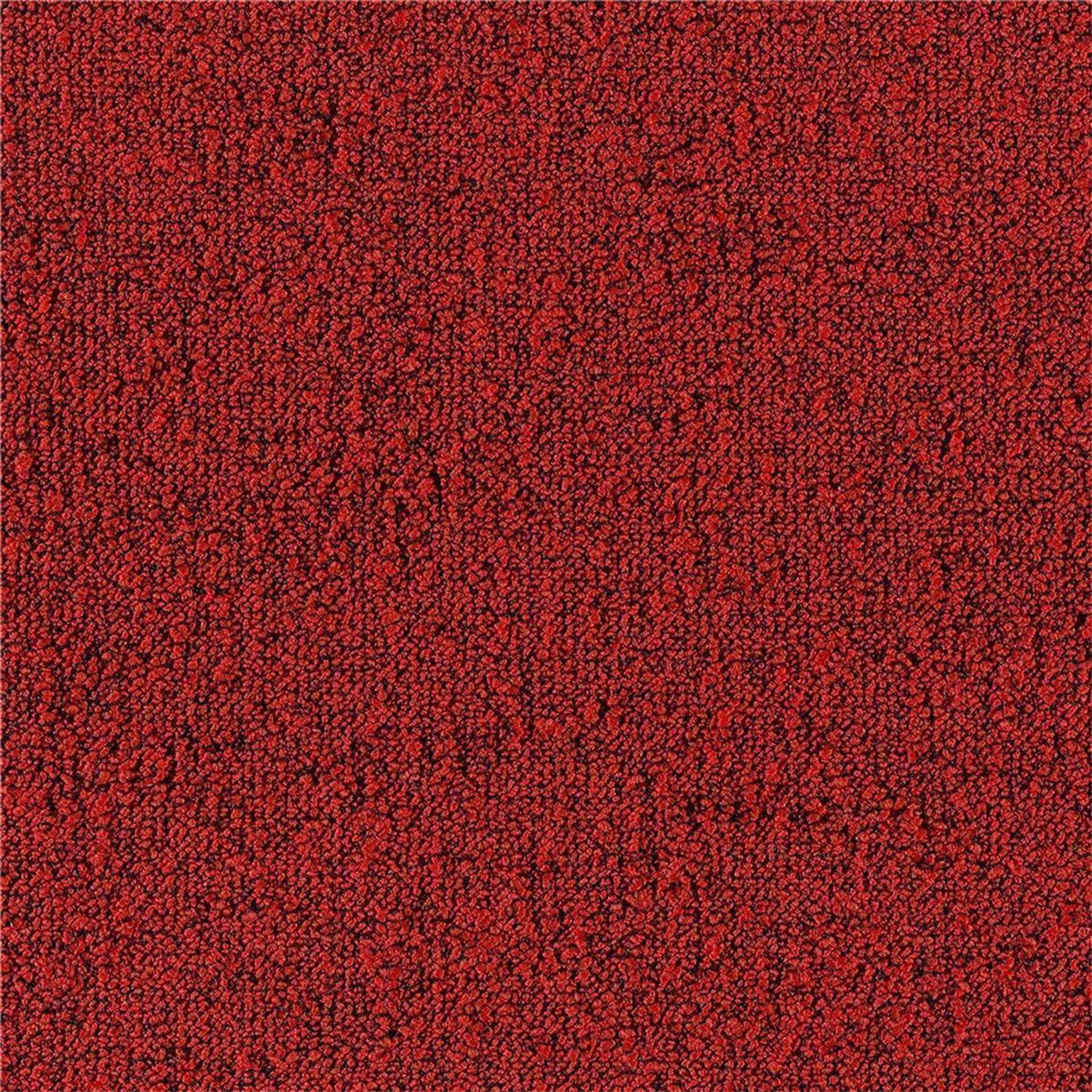 Teppichfliesen 50 x 50 cm Schlinge strukturiert Fields B751 4202 Rot Allover