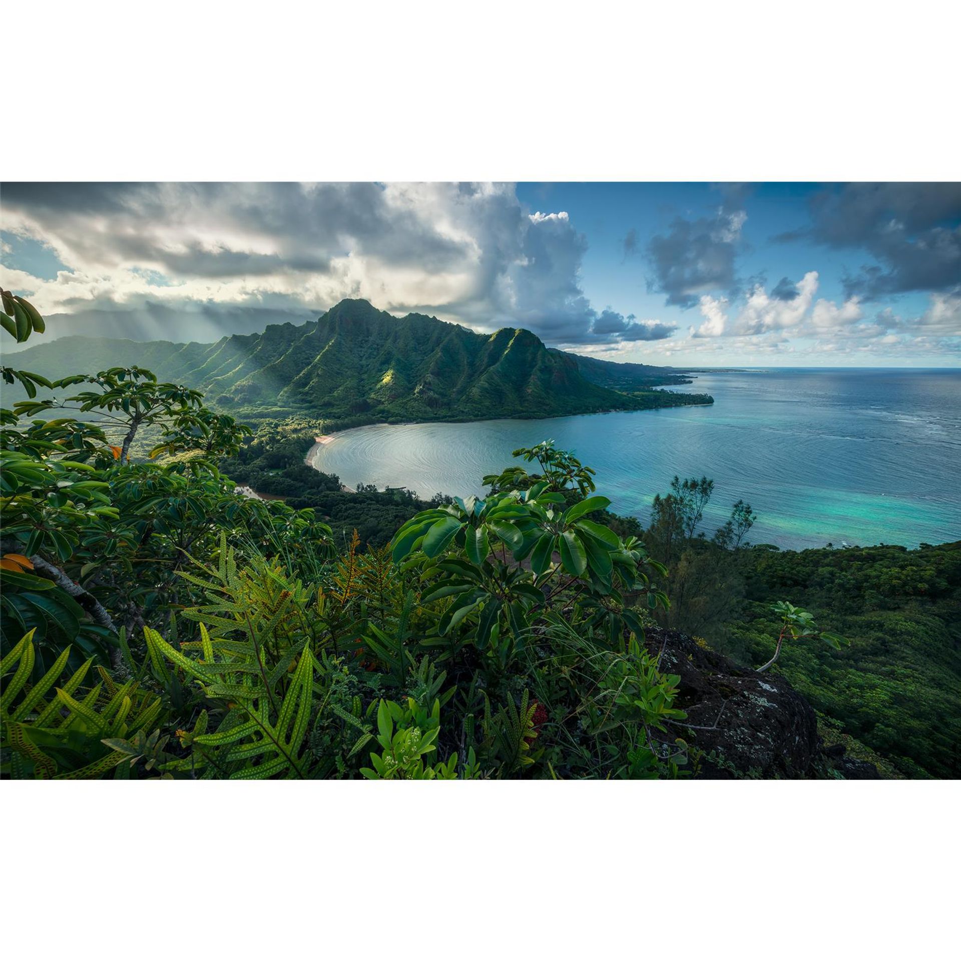 Vlies Fototapete - Jurassic Island  - Größe 450 x 280 cm