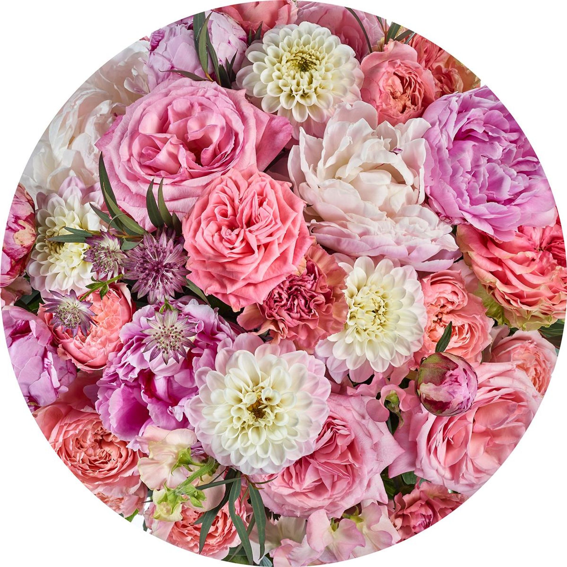 Selbstklebende Vlies Fototapete/Wandtattoo - Beautiful Blossoms - Größe 125 x 125 cm