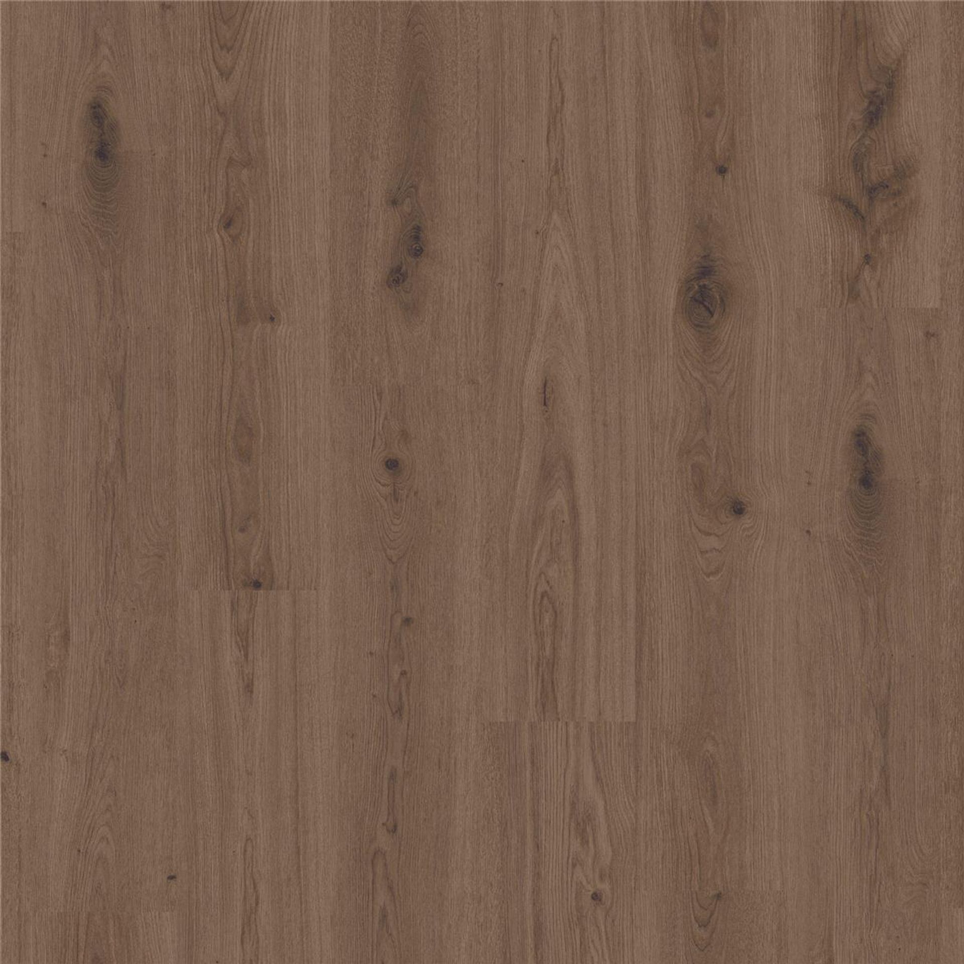 Designboden Delicate Oak BROWN Planke 121,3 cm x 17,6 cm - Nutzschichtdicke 0,55 mm