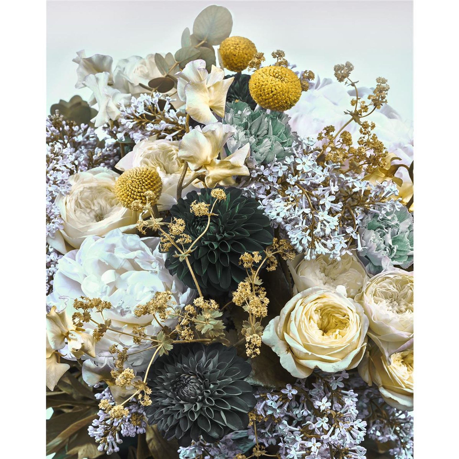 Vlies Fototapete - Gentle Bloom - Größe 200 x 250 cm