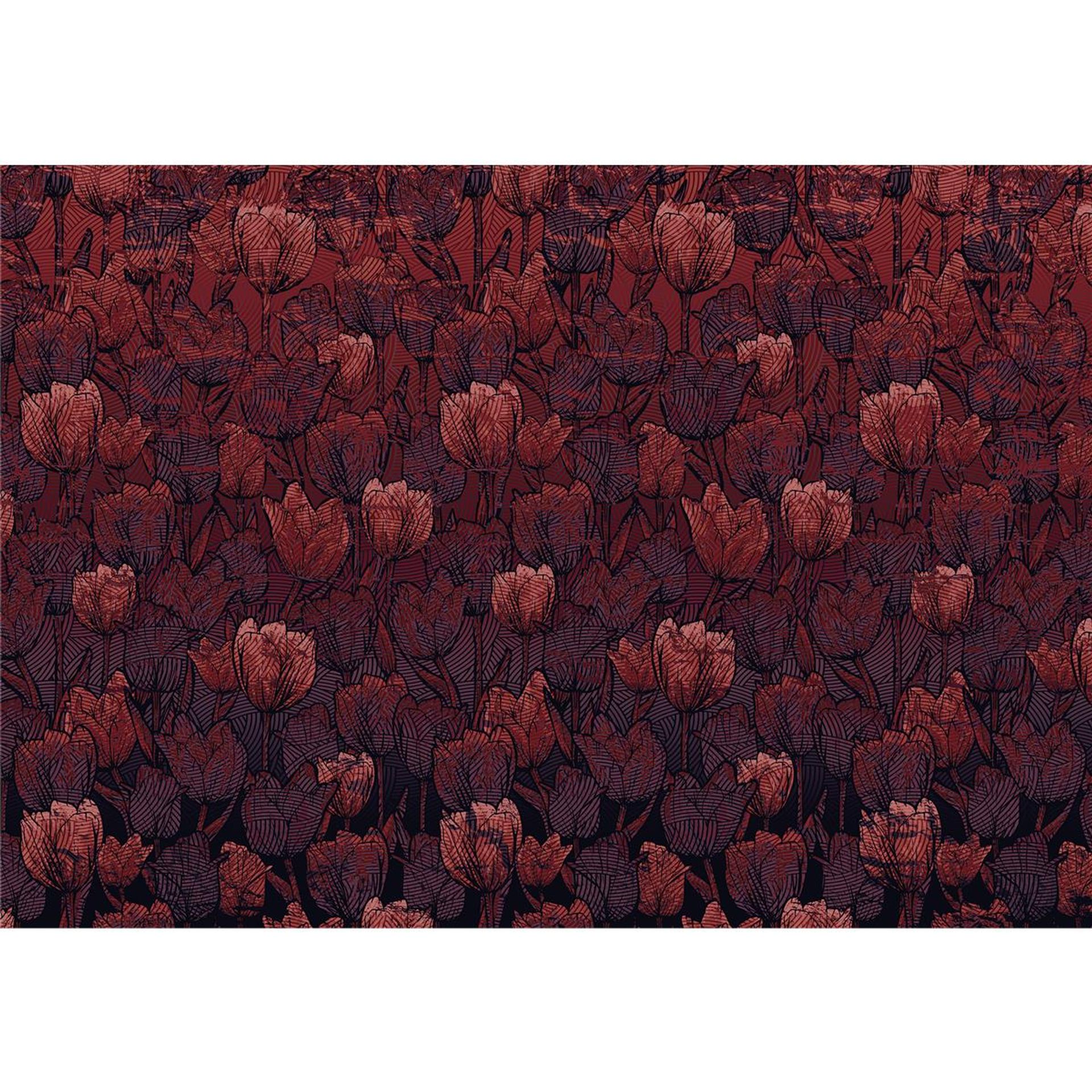 Vlies Fototapete - Tulipe - Größe 400 x 280 cm
