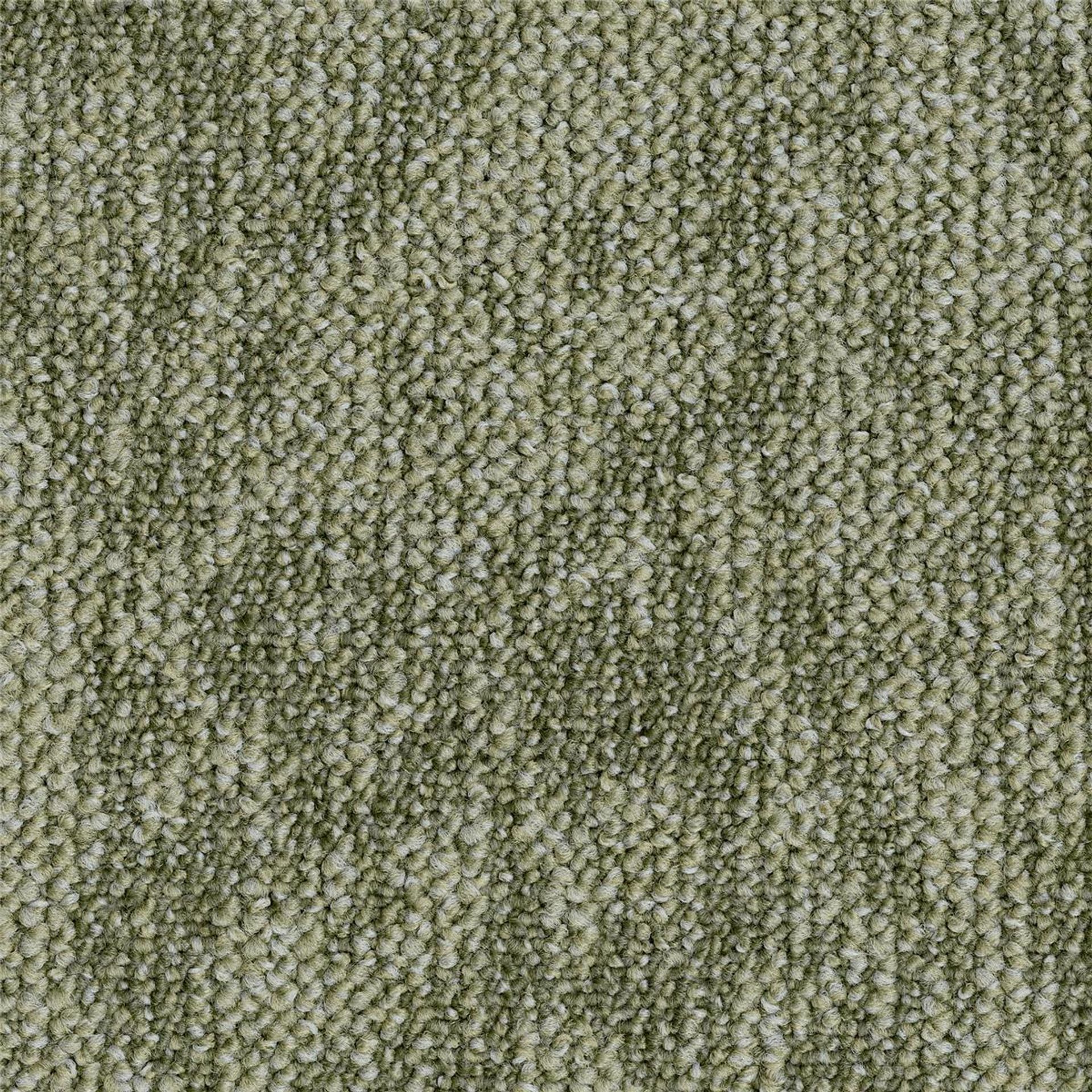 Teppichfliese 50 x 50 cm Schlinge strukturiert Desso Desert B882 7954 Grün Organisch