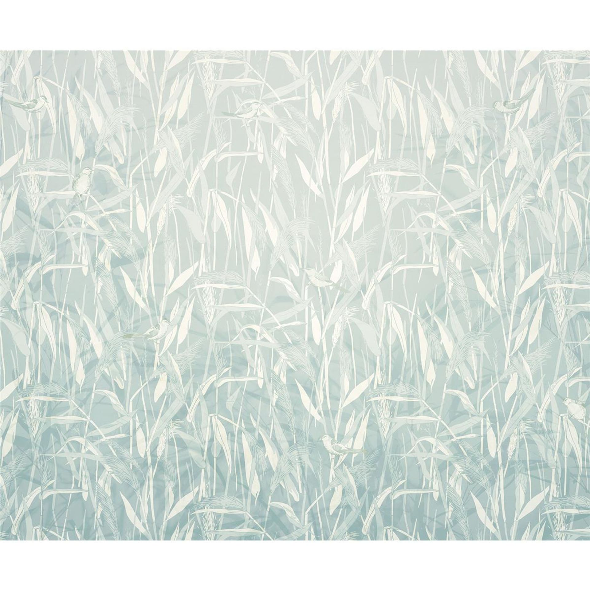 Vlies Fototapete - Reed  - Größe 300 x 250 cm