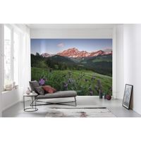 Vlies Fototapete - Picturesque Switzerland - Größe 450 x 280 cm