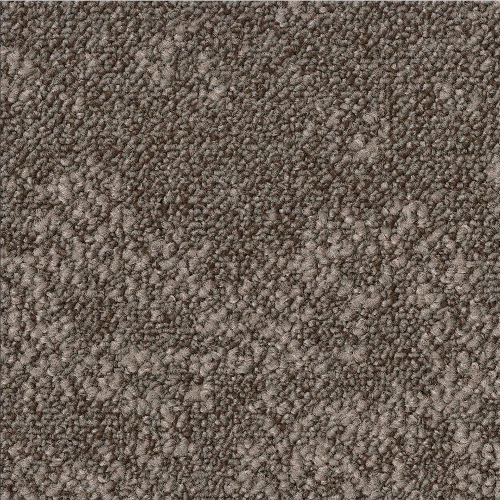 Teppichfliesen 50 x 50 cm Schlinge strukturiert Arable AA86 2922 Grau Organisch