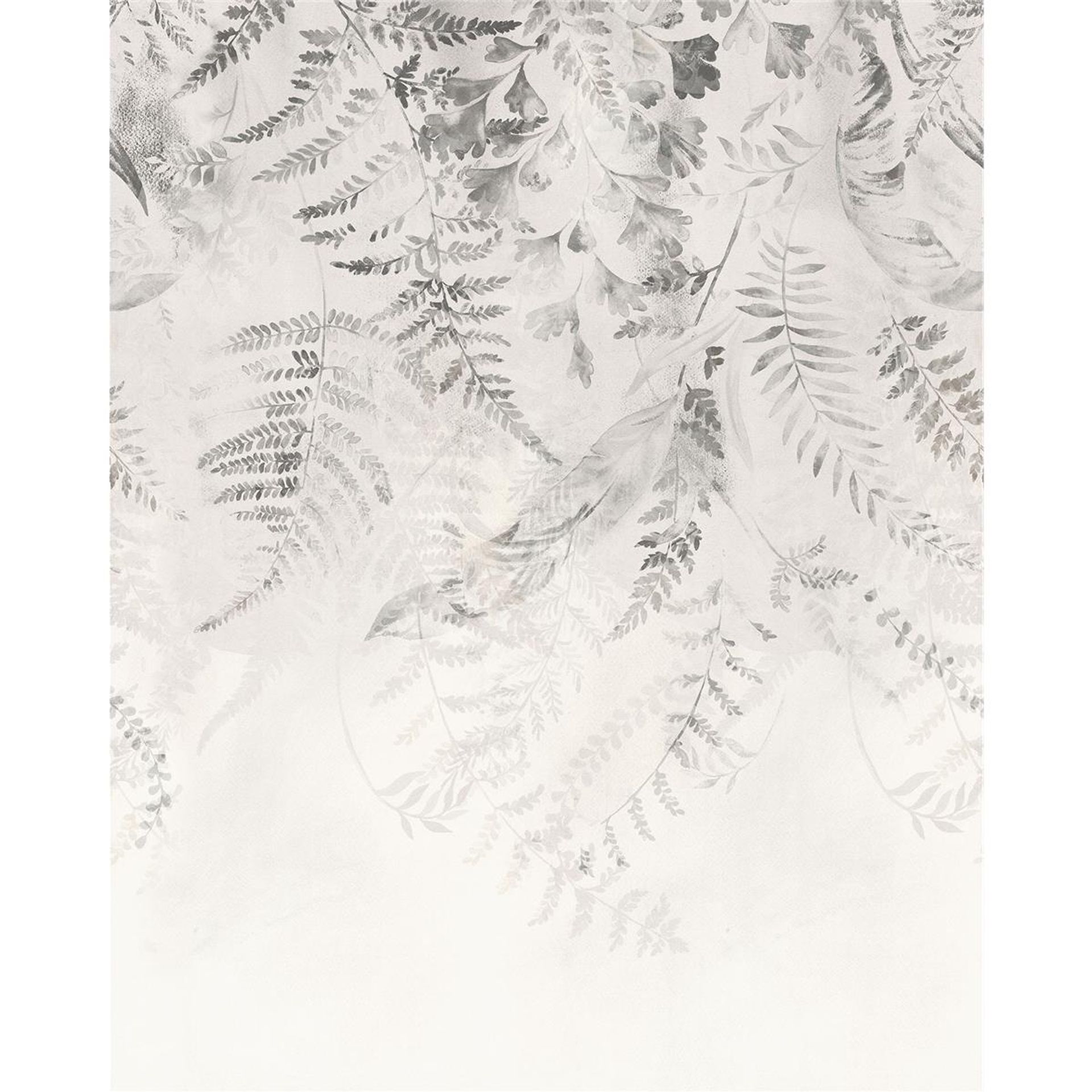 Vlies Fototapete - Illuminating Ivy  - Größe 200 x 250 cm