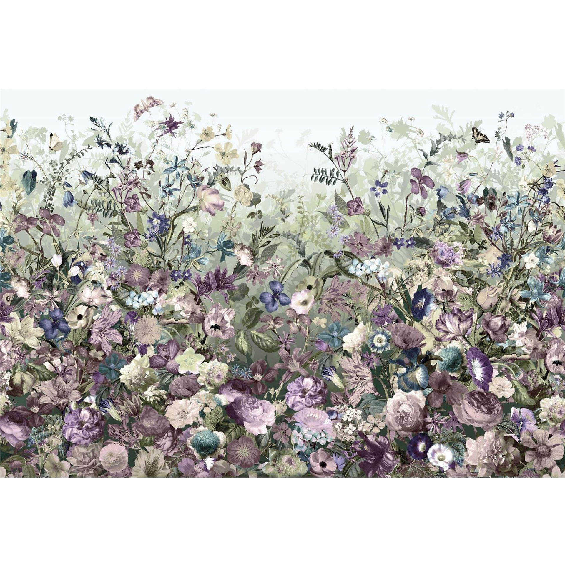 Vlies Fototapete - Botanica - Größe 368 x 248 cm