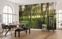 Vlies Fototapete - Blütenzauberwald - Größe 450 x 280 cm