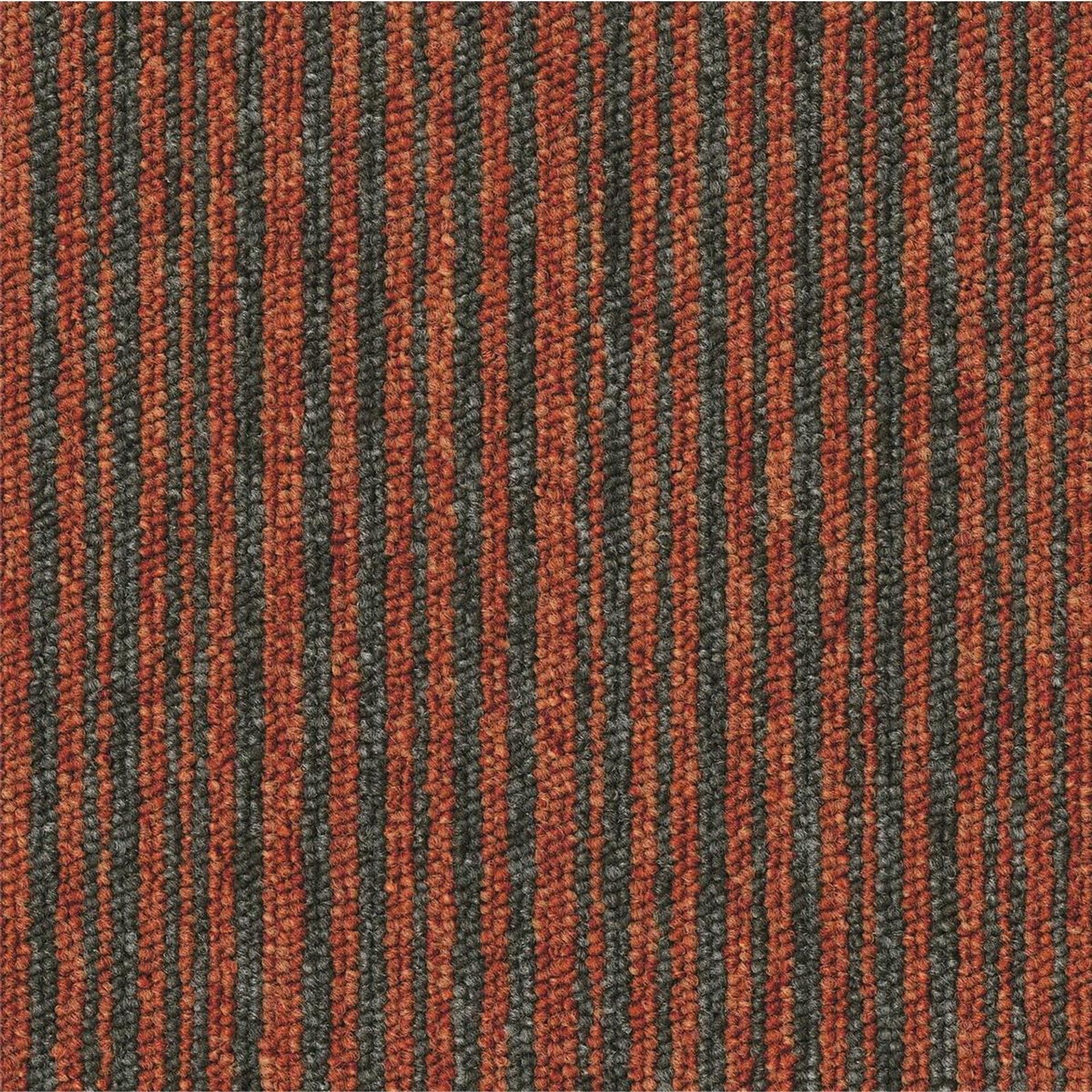 Teppichfliesen 50 x 50 cm Schlinge Essence Stripe  AA91 5102 Orange Linear