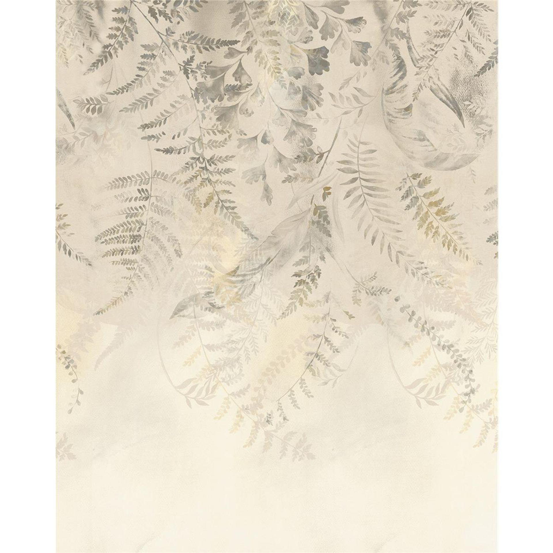 Vlies Fototapete - Herbarium - Größe 200 x 250 cm