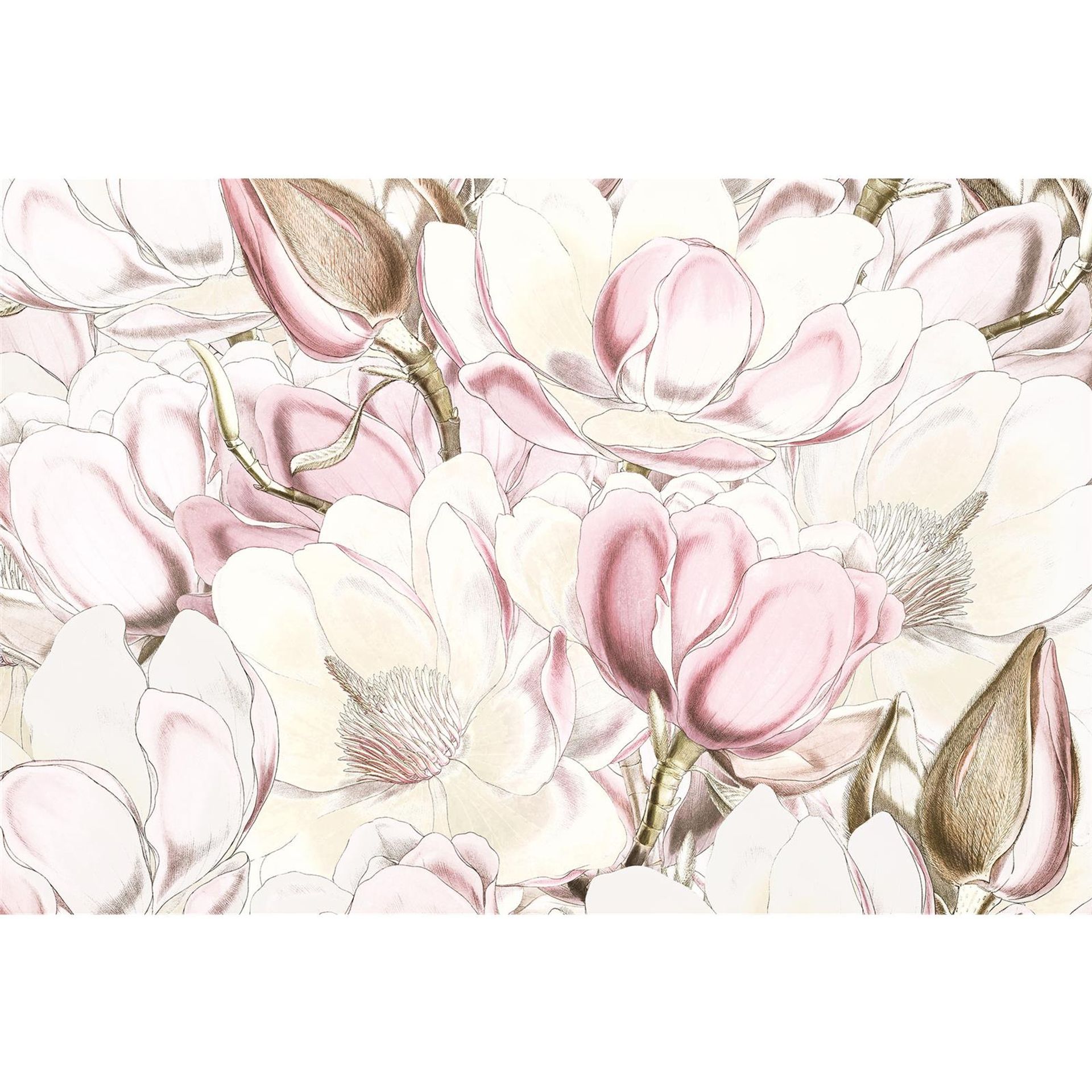 Vlies Fototapete - Petals - Größe 368 x 248 cm