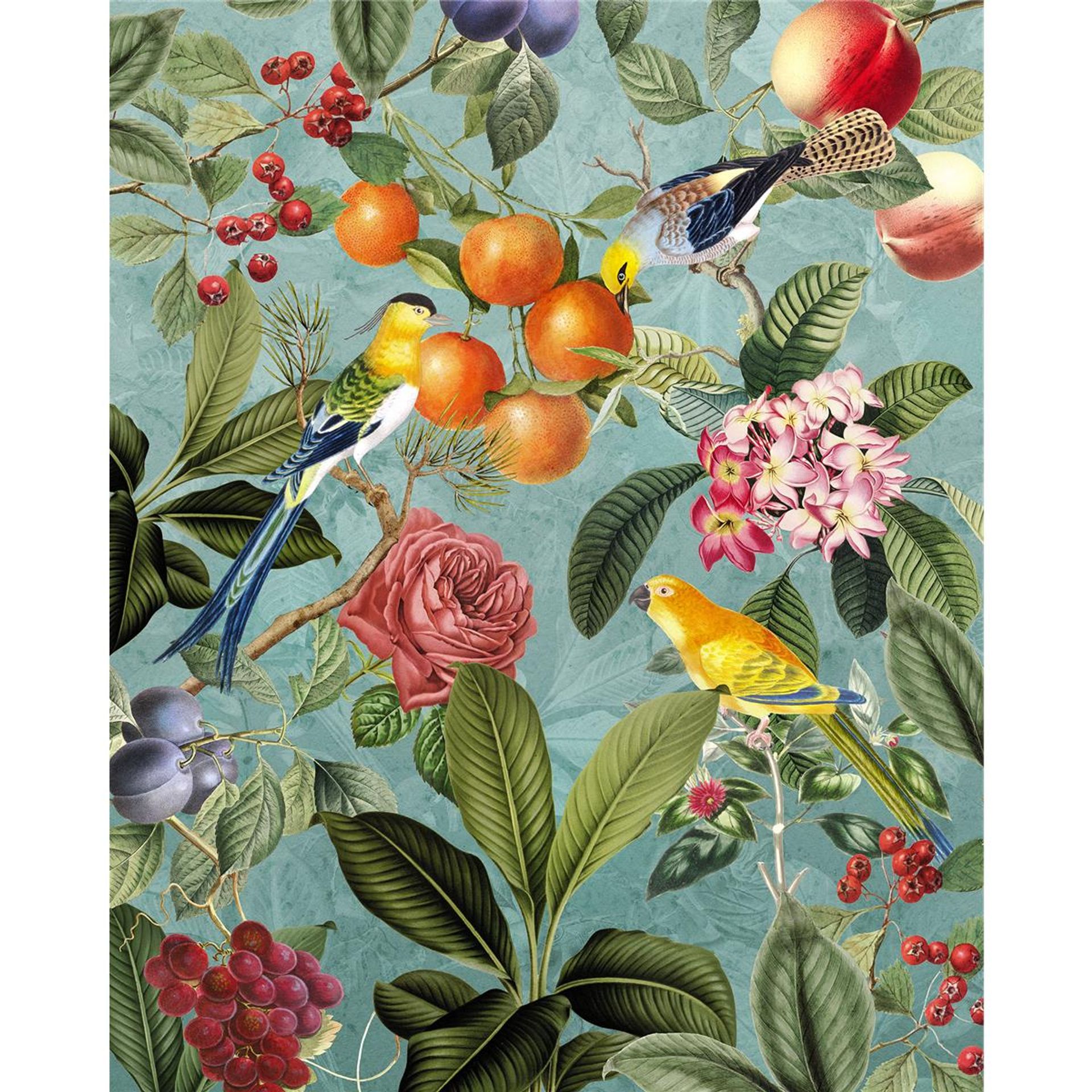 Vlies Fototapete - Birds and Berries - Größe 200 x 250 cm