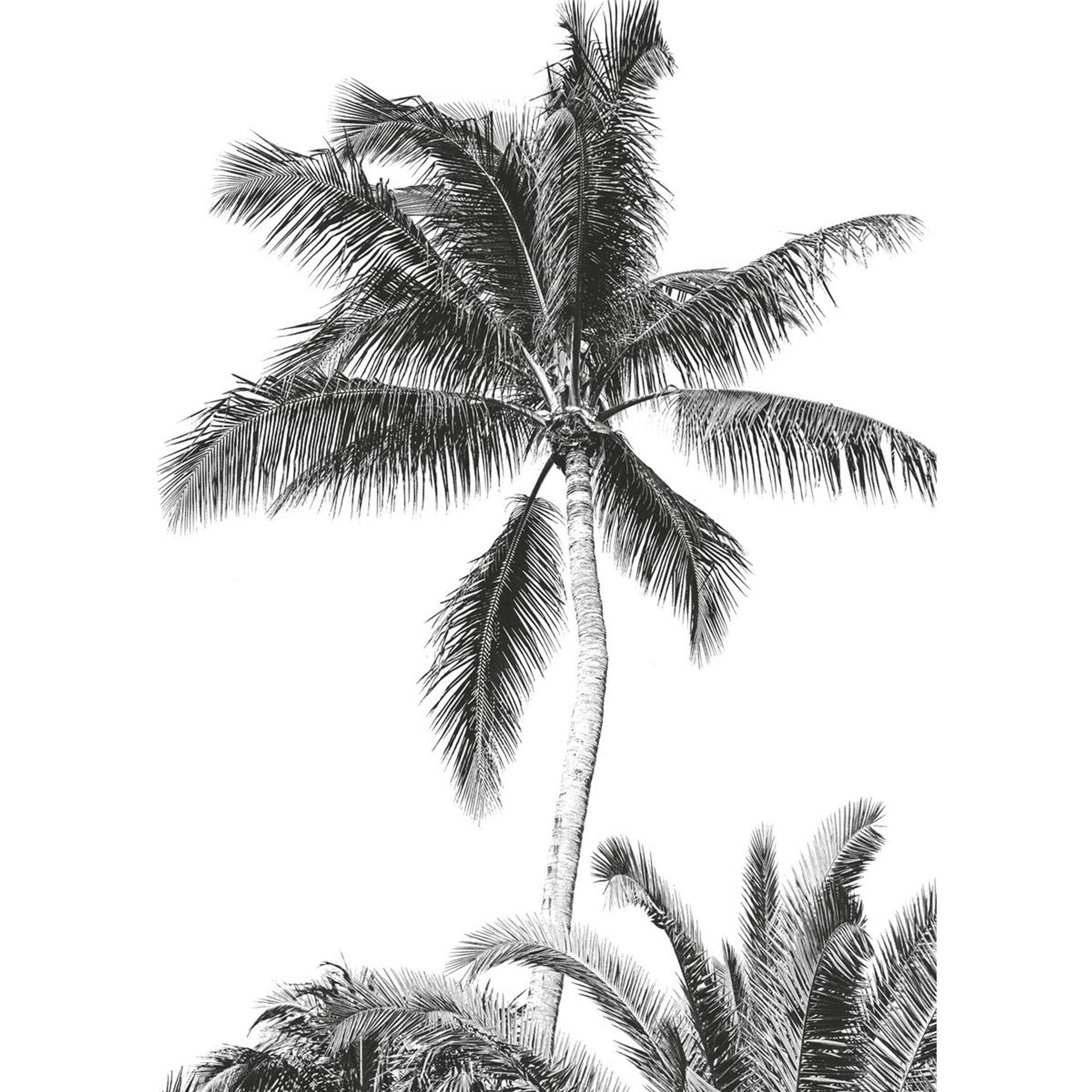 Vlies Fototapete - Retro Palm - Größe 200 x 280 cm