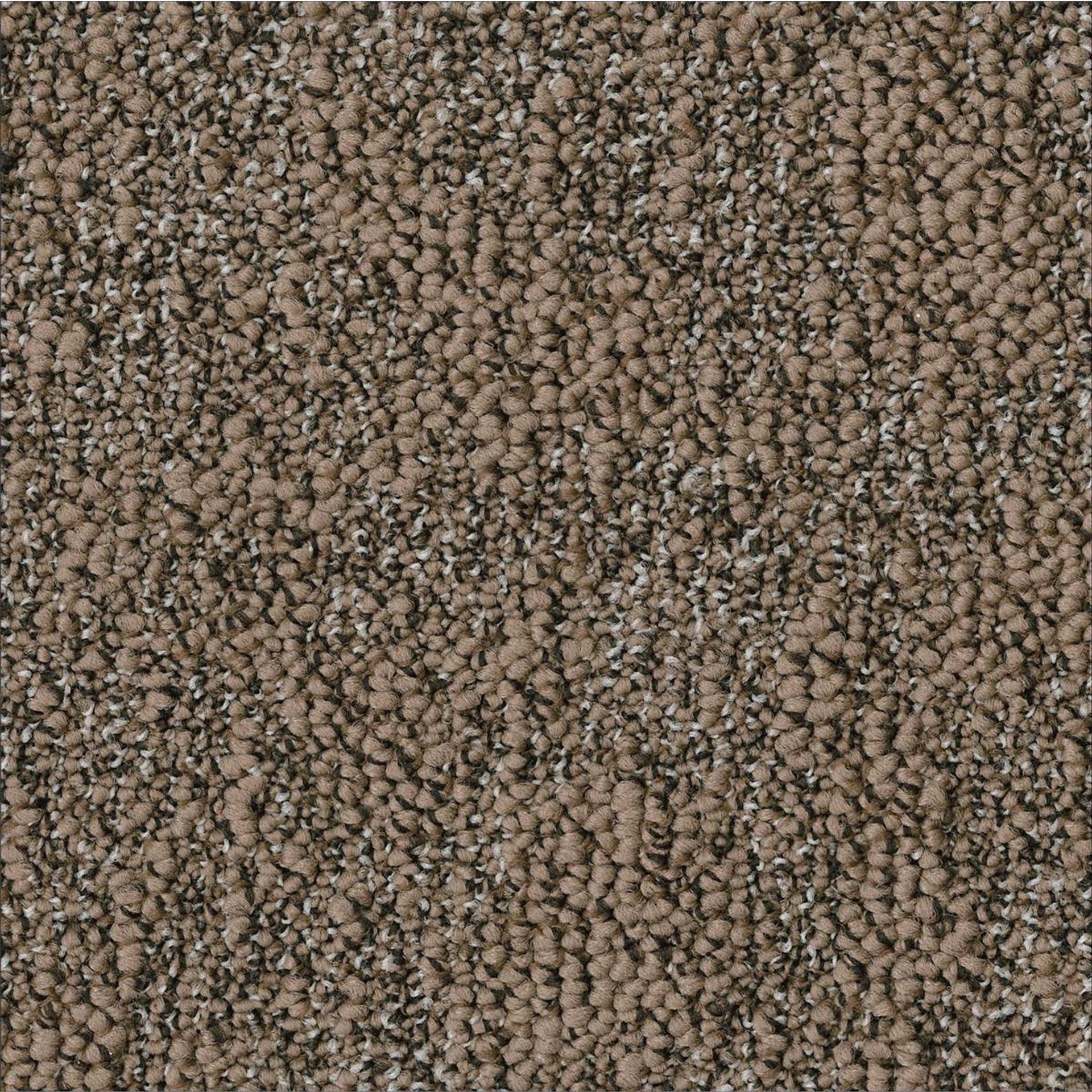 Teppichfliesen 50 x 50 cm Schlinge strukturiert Granite AA88 2935 Beige Organisch