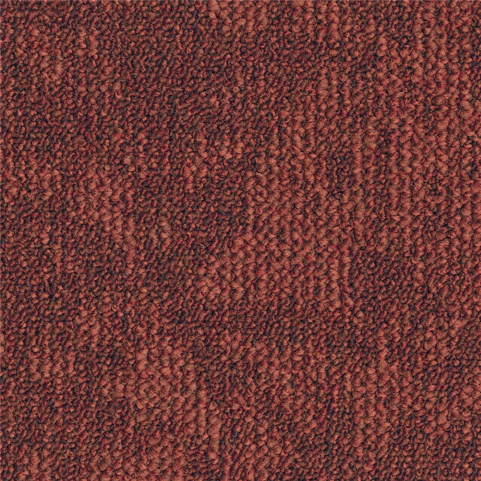 Teppichfliesen 50 x 50 cm Schlinge strukturiert Desert B882 5011 Orange Organisch