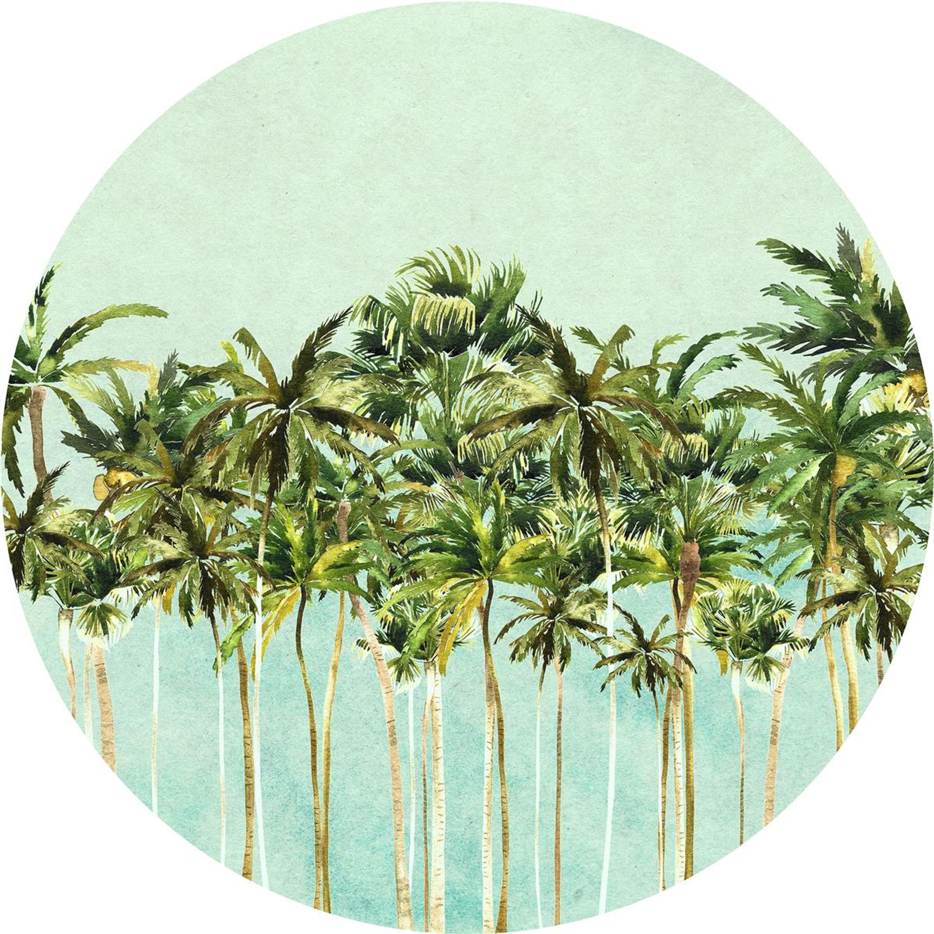 Selbstklebende Vlies Fototapete/Wandtattoo - Coconut Trees - Größe 125 x 125 cm
