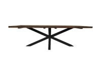 Rectangular table garden teak EDE-04 Teakholz/Metall  B/H/T: 100 cm 76 cm 250 cm