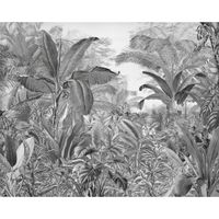 Vlies Fototapete - Roraima - Größe 350 x 280 cm
