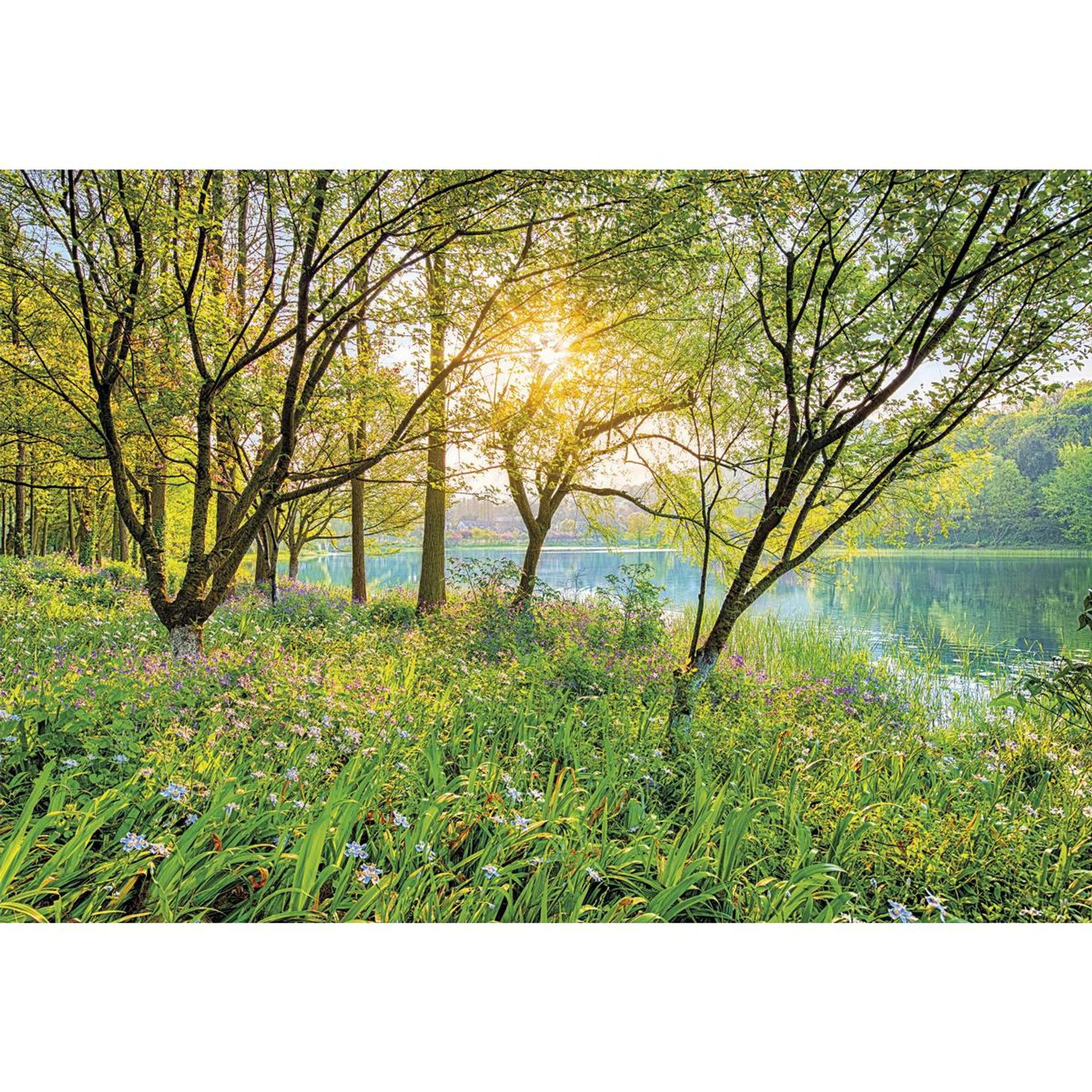 Papier Fototapete - Spring Lake - Größe 368 x 254 cm