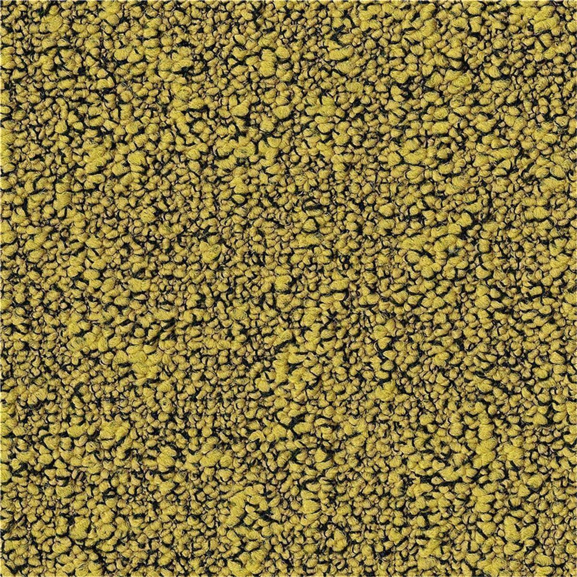 Teppichfliesen 50 x 50 cm Schlinge strukturiert Fields B751 6218 Grün Allover