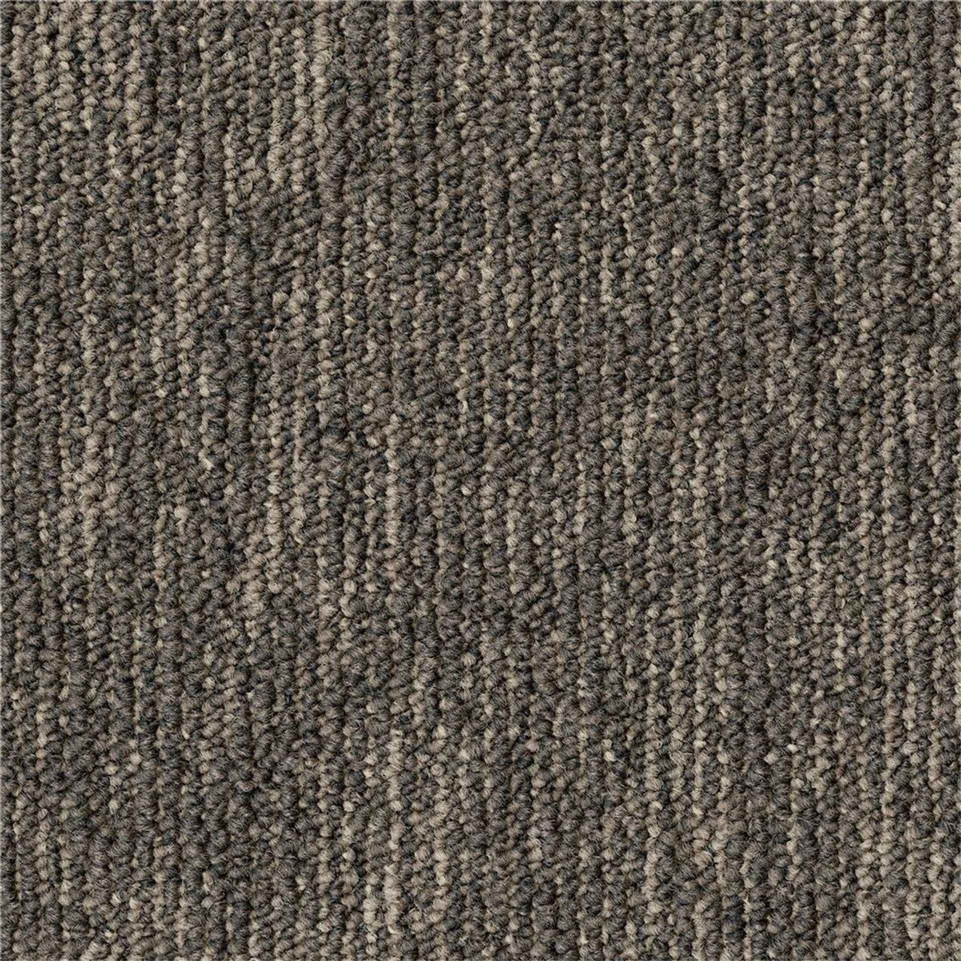 Teppichfliesen 50 x 50 cm Schlinge Grain B867 9093 Grau Textur